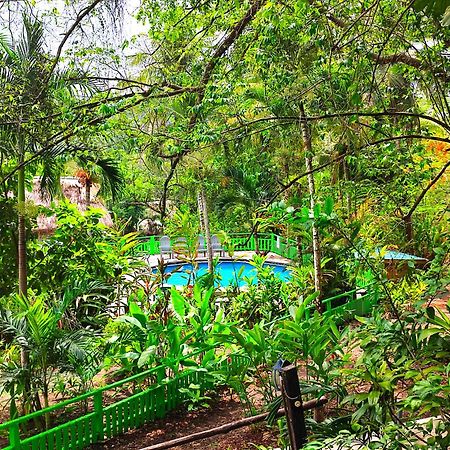 Maya Mountain Lodge San Ignacio Luaran gambar