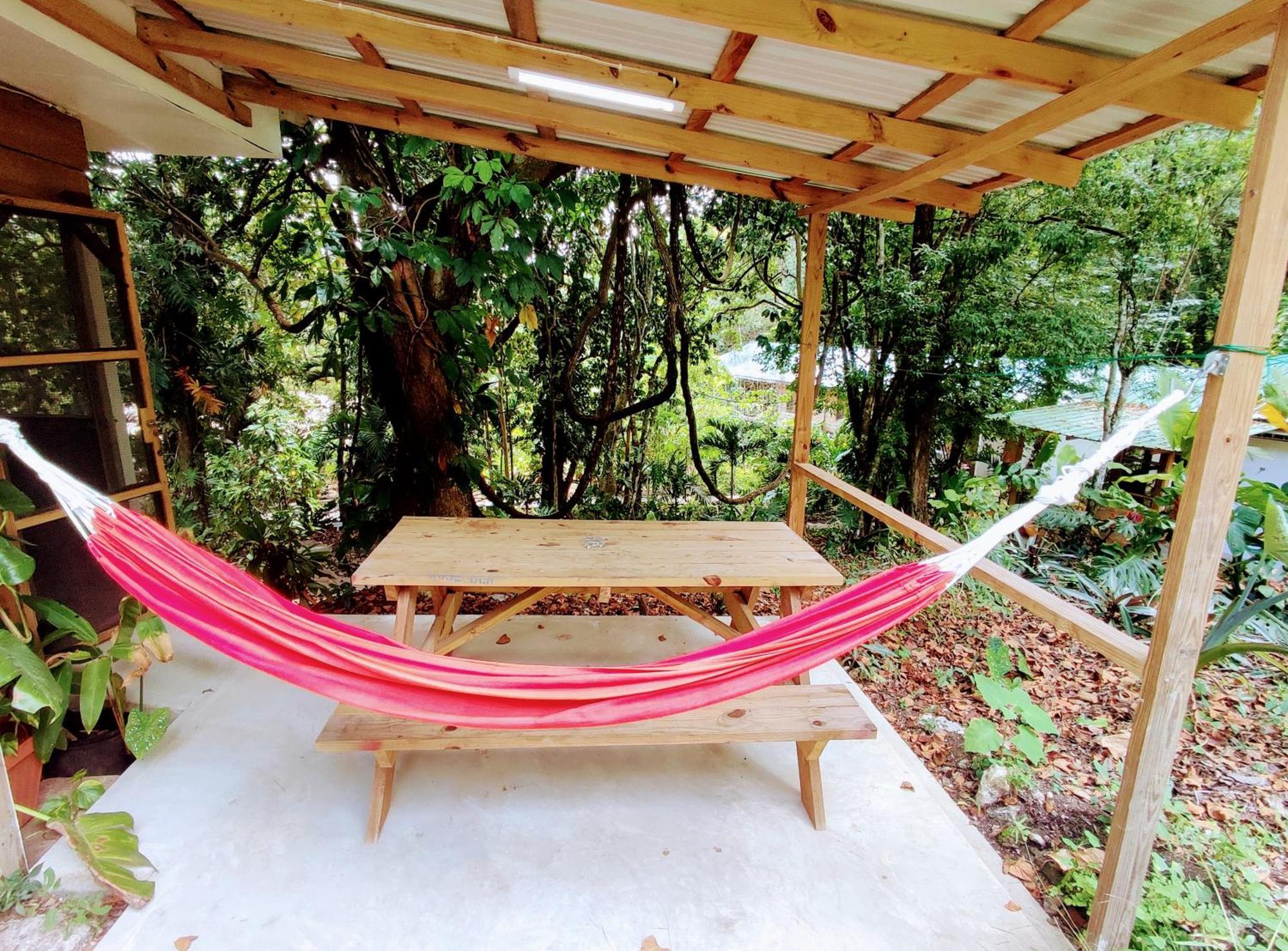 Maya Mountain Lodge San Ignacio Luaran gambar