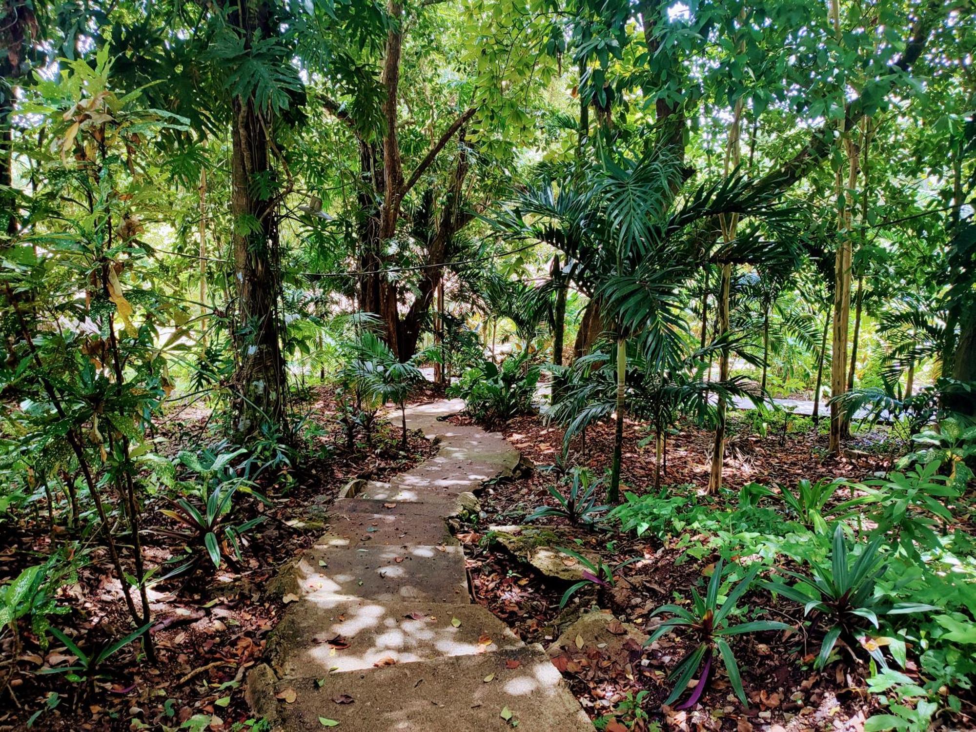 Maya Mountain Lodge San Ignacio Luaran gambar