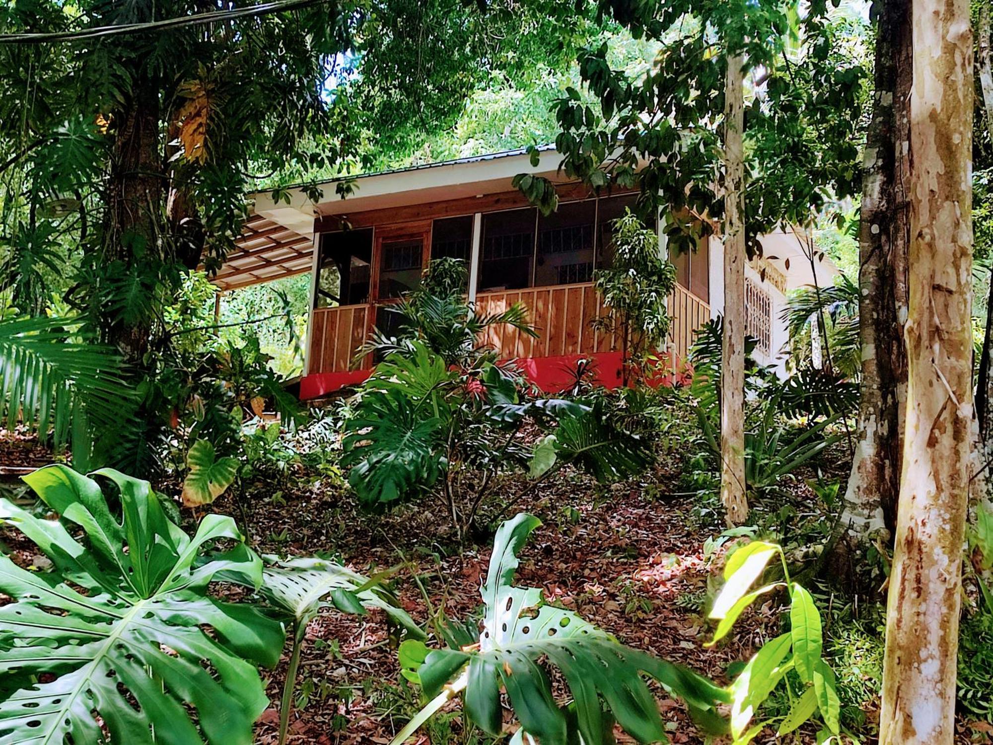 Maya Mountain Lodge San Ignacio Luaran gambar