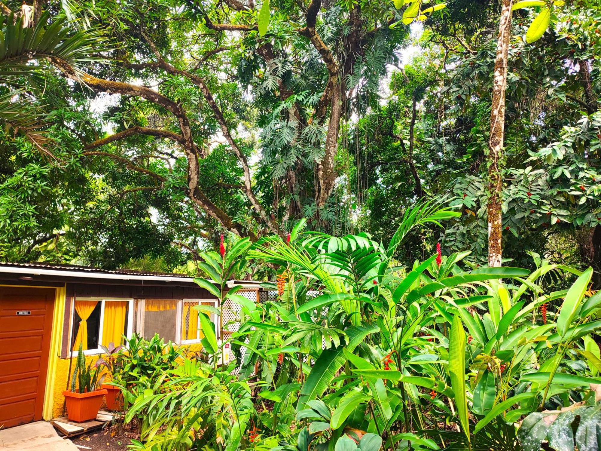 Maya Mountain Lodge San Ignacio Luaran gambar