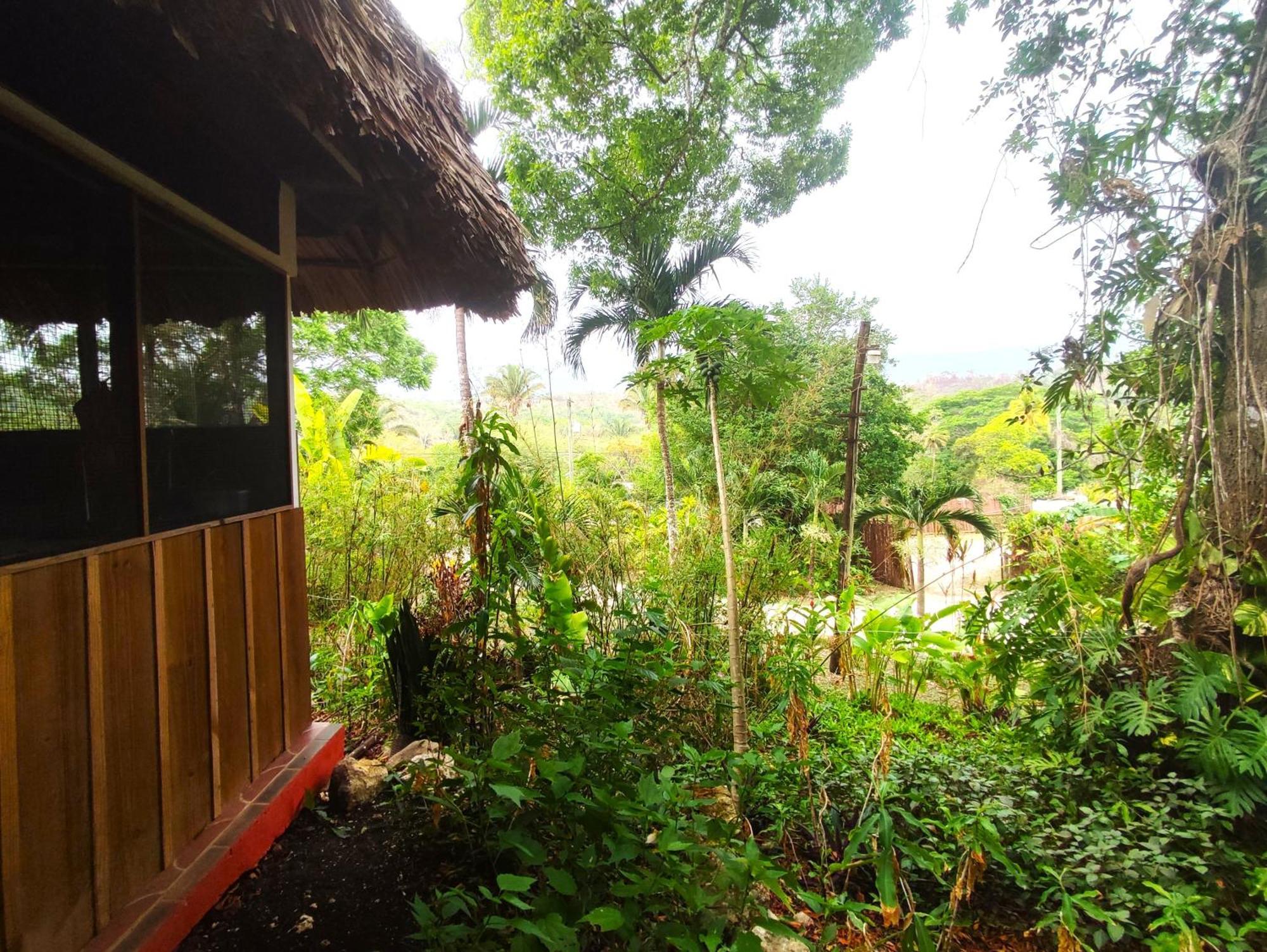 Maya Mountain Lodge San Ignacio Luaran gambar