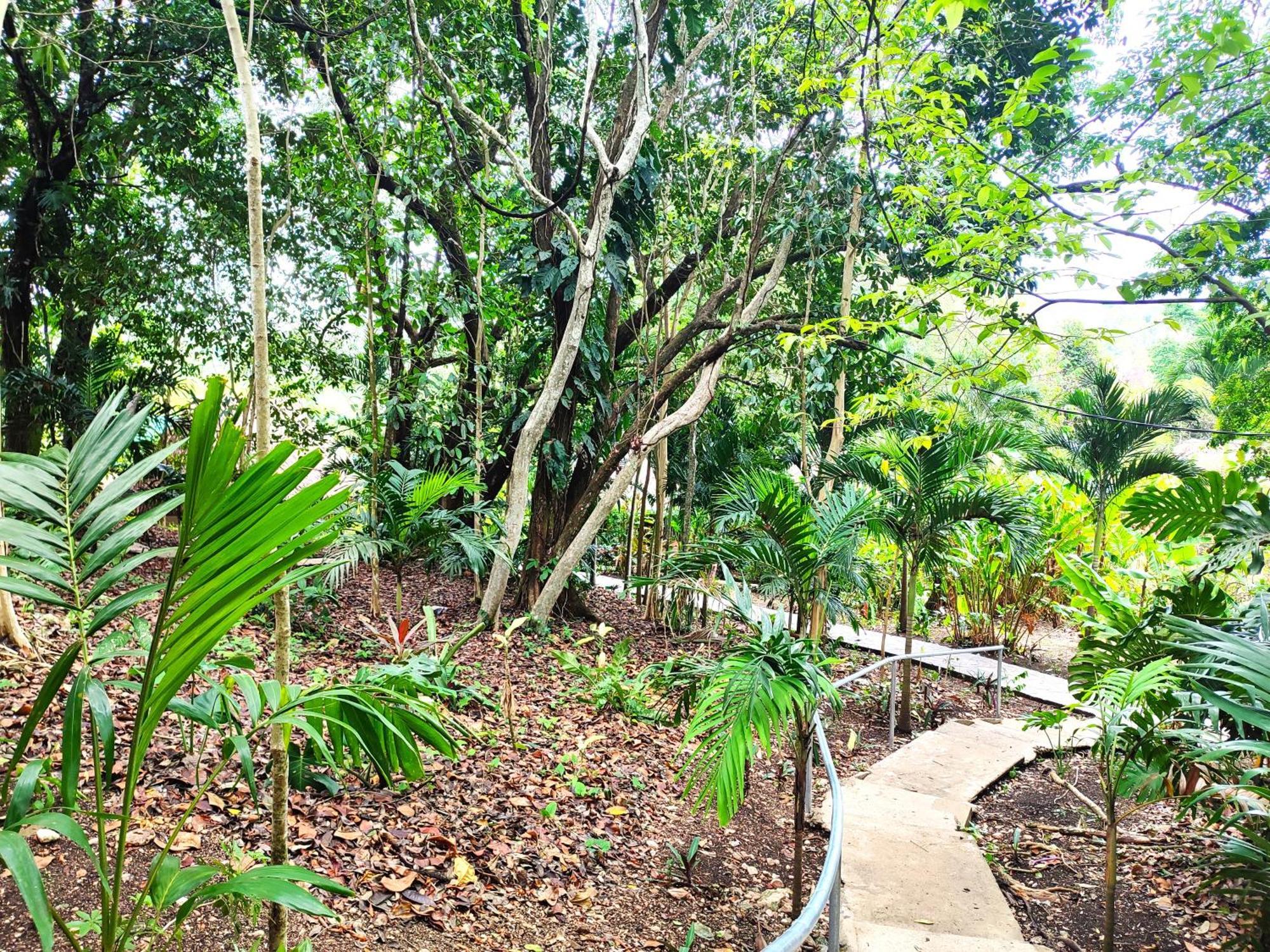 Maya Mountain Lodge San Ignacio Luaran gambar