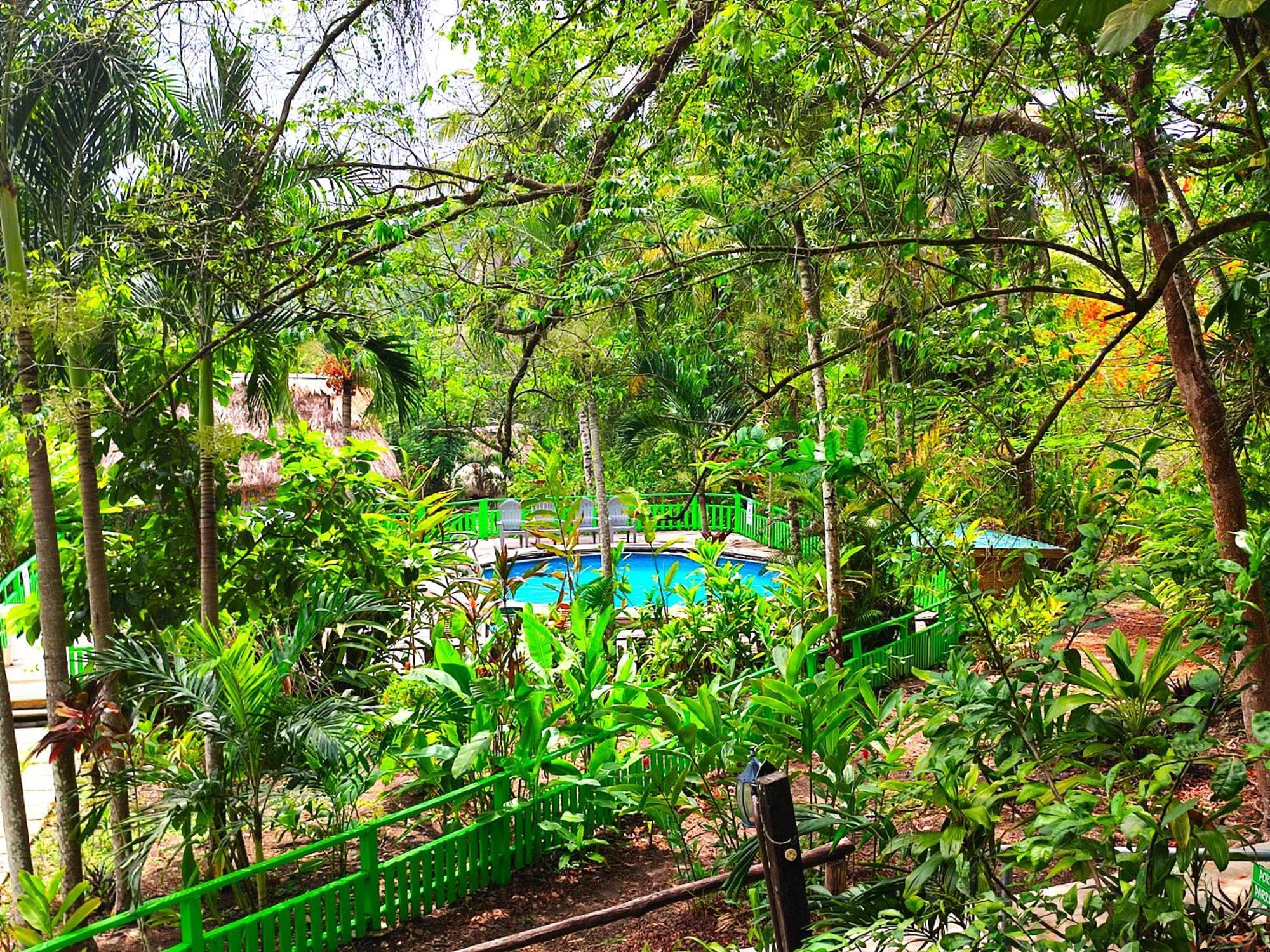 Maya Mountain Lodge San Ignacio Luaran gambar