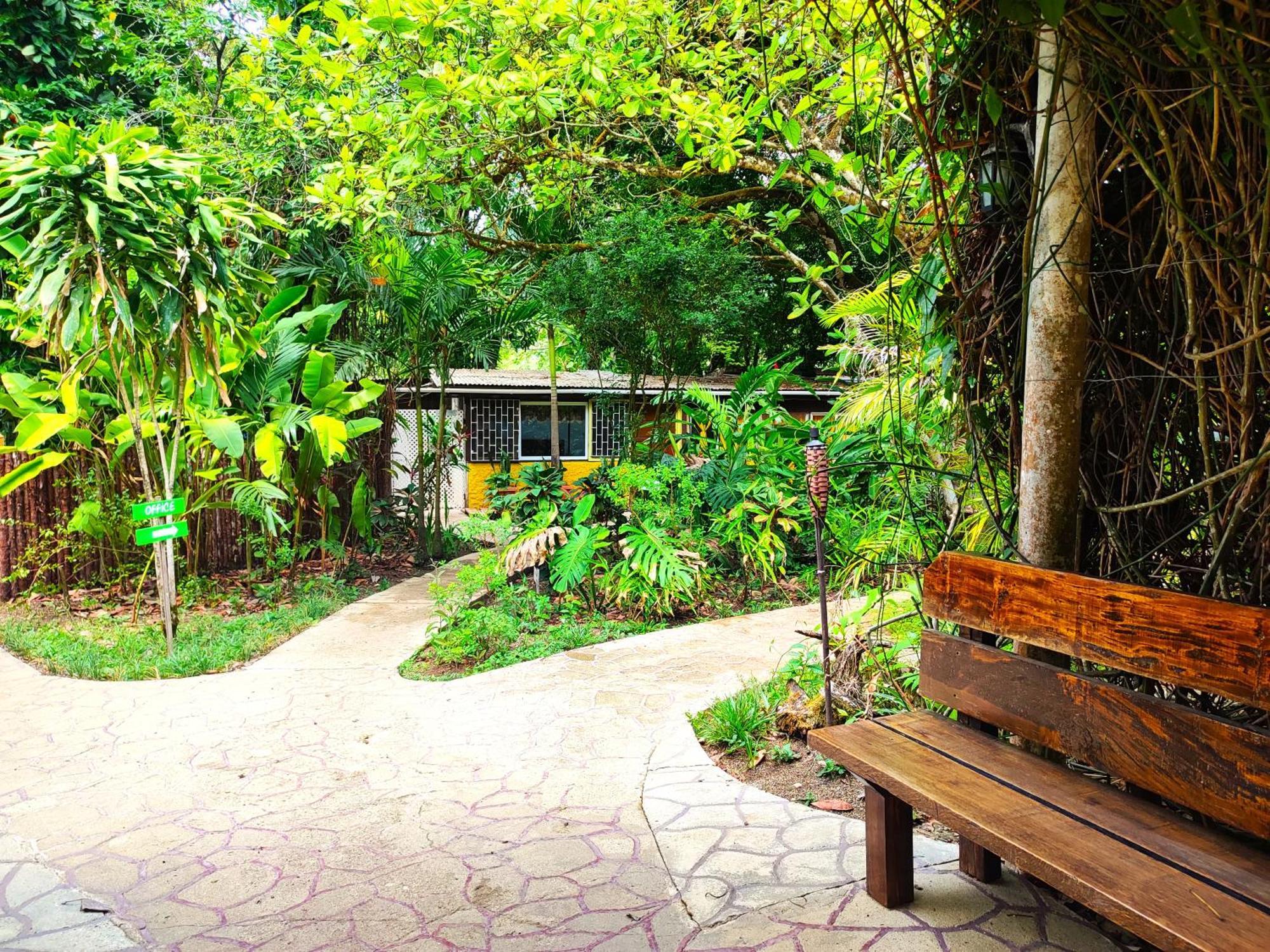 Maya Mountain Lodge San Ignacio Luaran gambar
