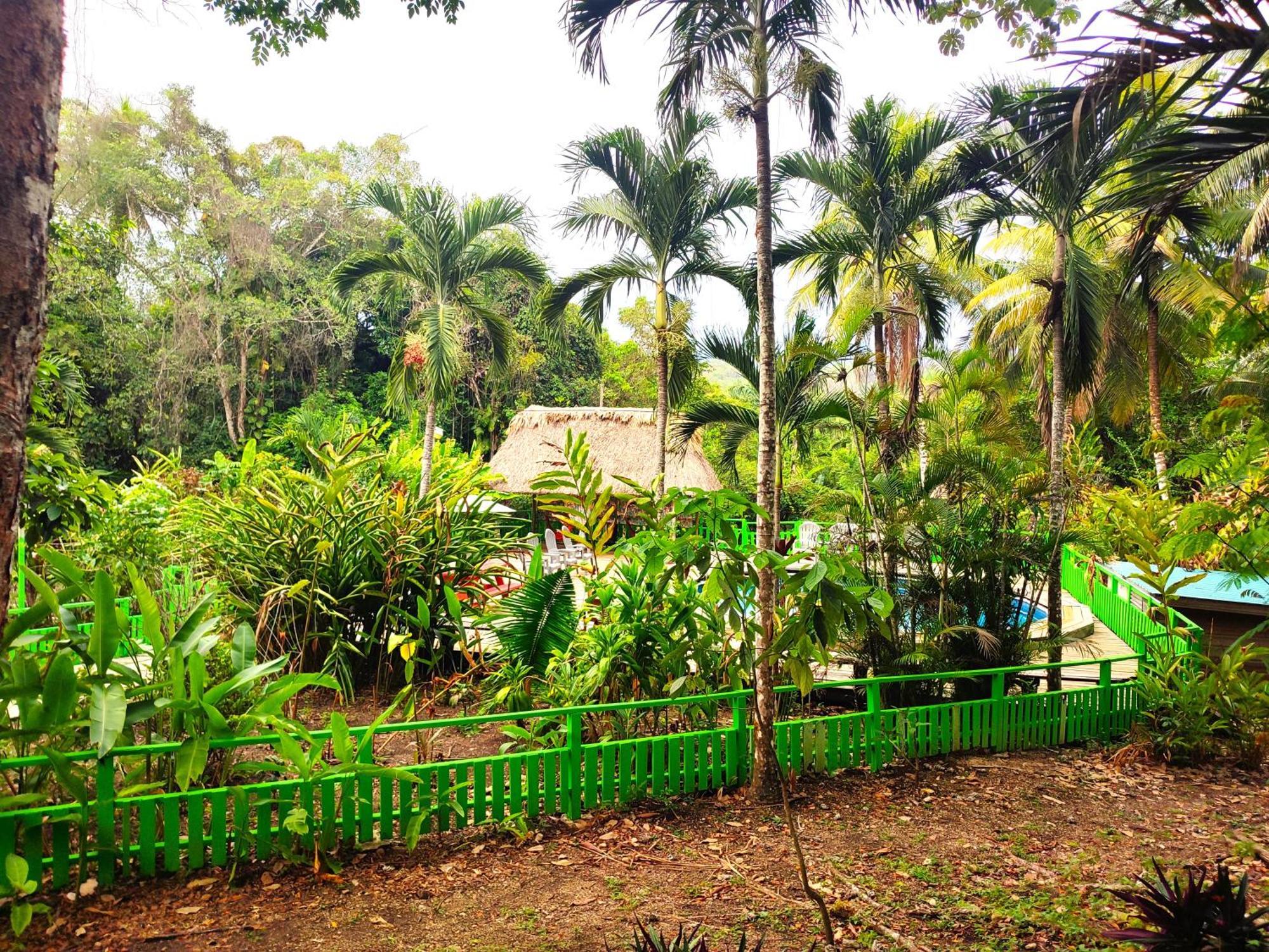 Maya Mountain Lodge San Ignacio Luaran gambar
