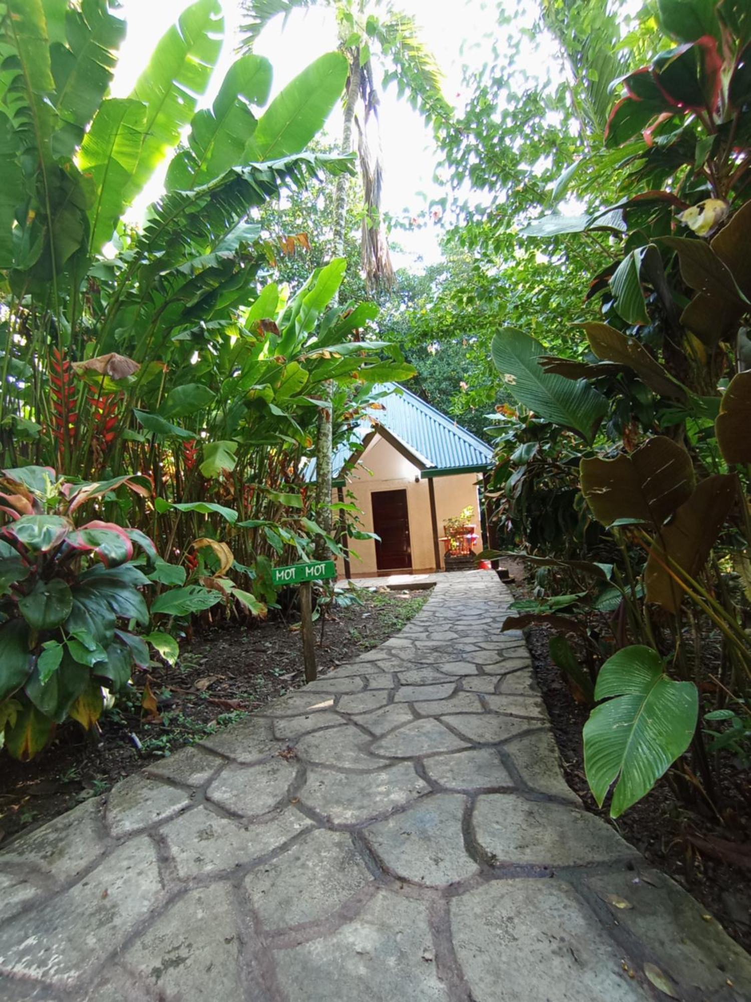 Maya Mountain Lodge San Ignacio Luaran gambar